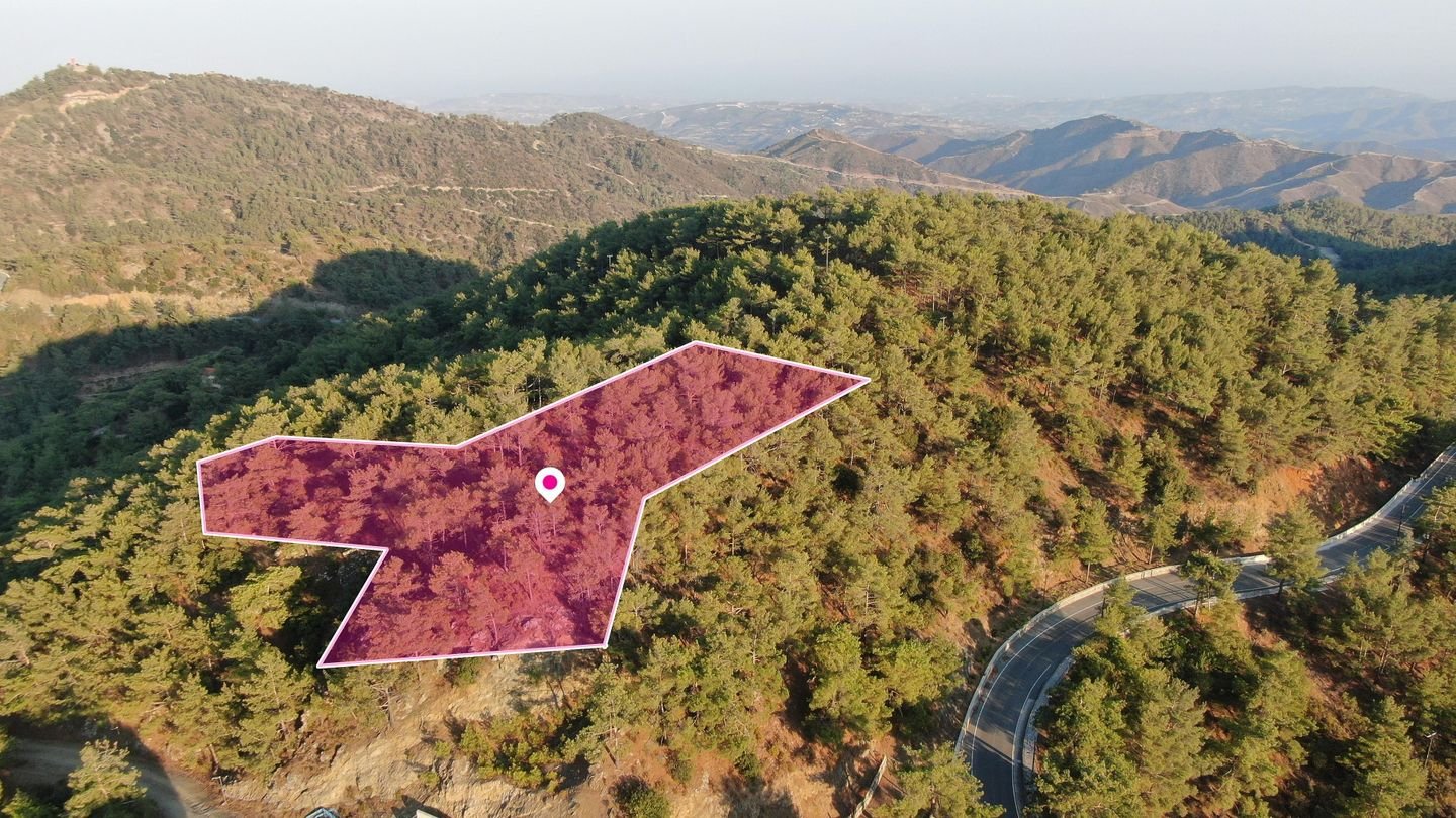 (Share) Residential field in Vavatsinia in Larnaca photo 3