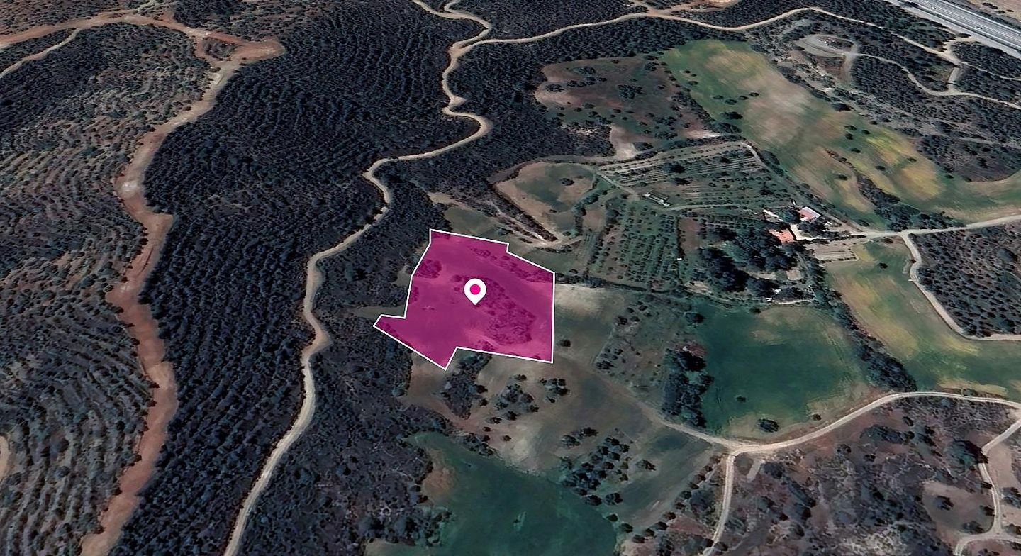 Field in Kofinou, Larnaka photo 2