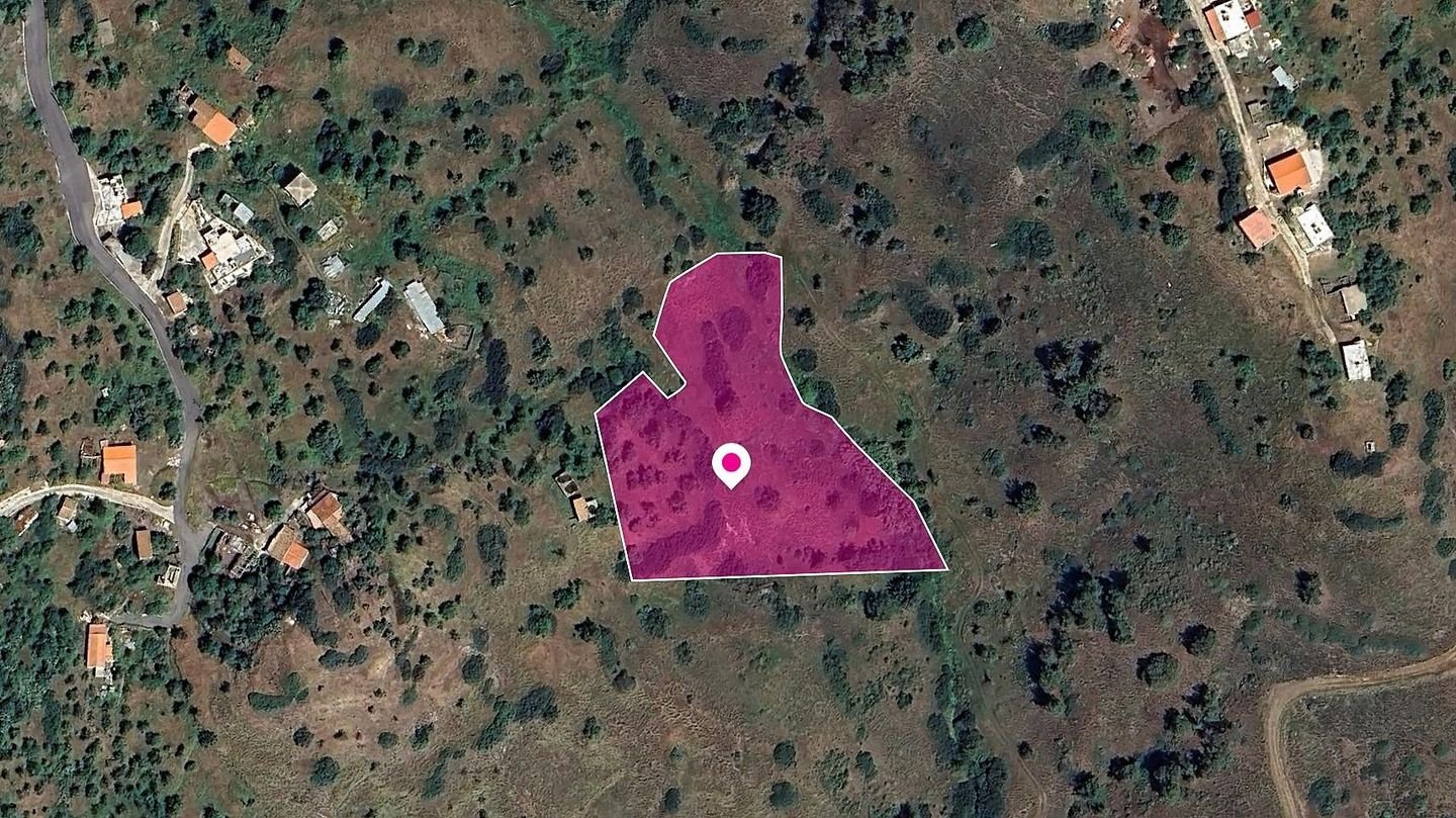 Field in Pigenia, Nicosia photo 1