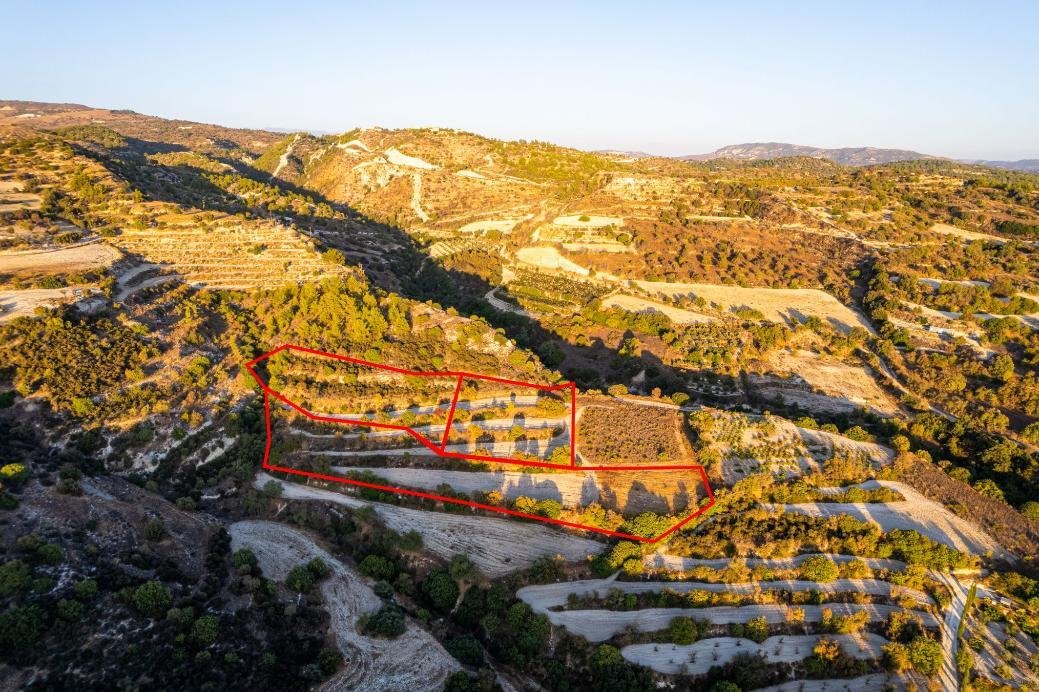 Three agricultural fields in Amargeti, Paphos photo 1