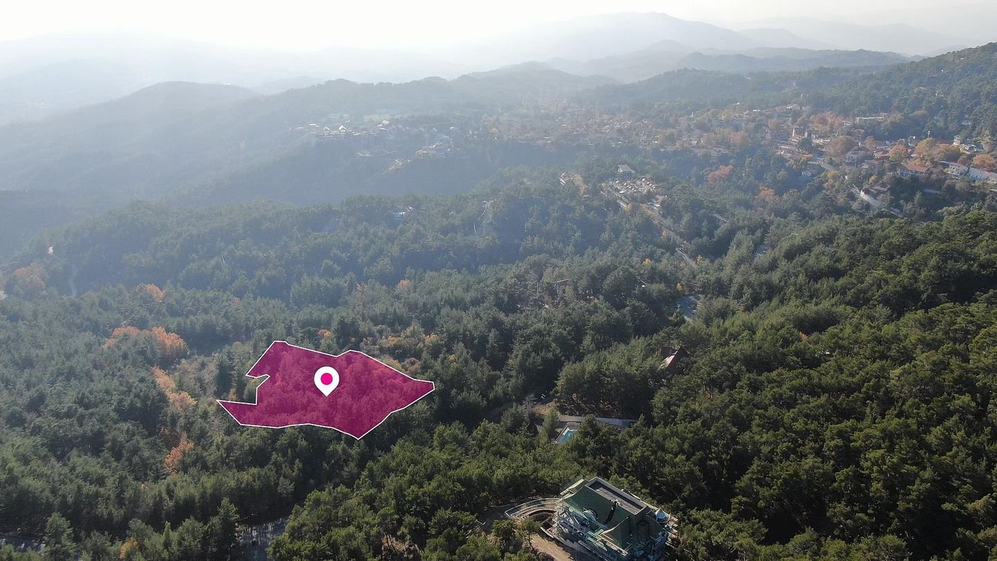 (Share) Residential Field, Pano Platres, Limassol photo 3