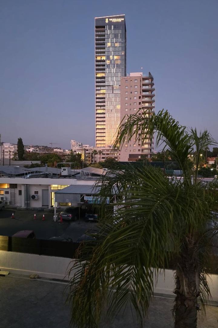 3 BR Apartment in Mouttagiaka, Limassol photo 20