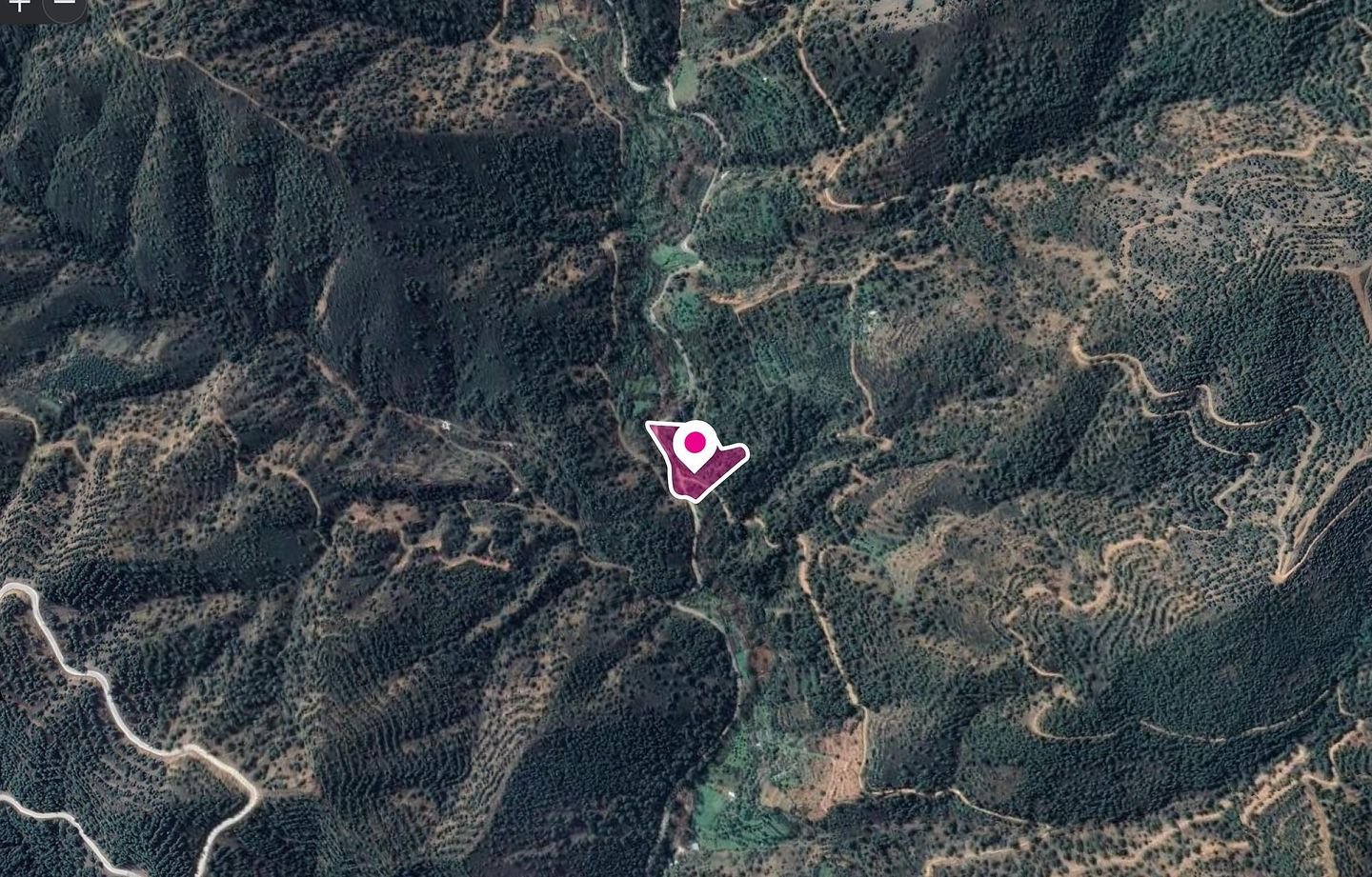 Agricultural Field, Kampos photo 2