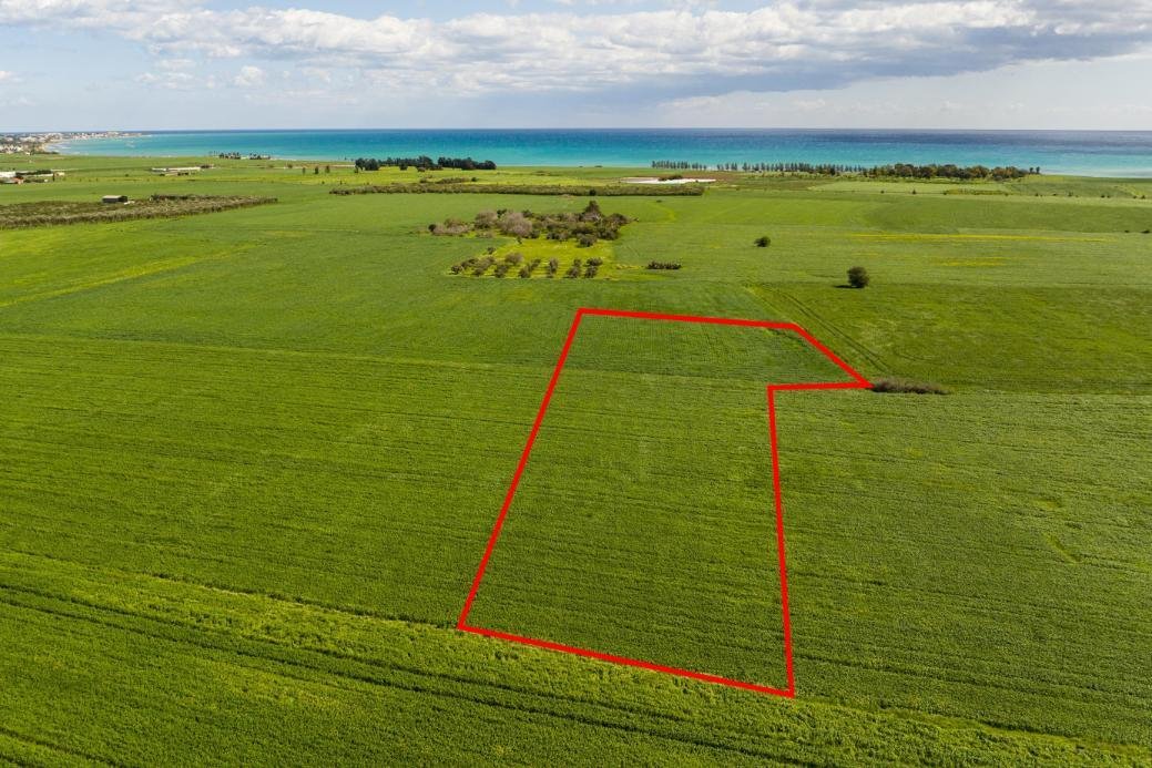 Agricultural field in Softades, Larnaca photo 1