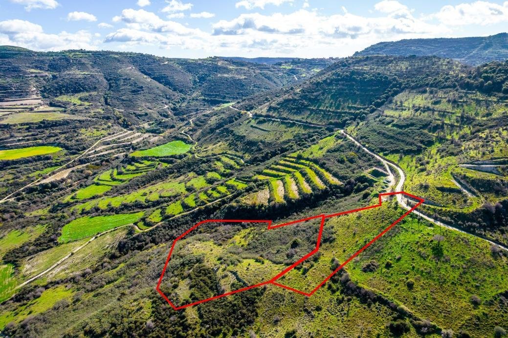 Fields in Dora, Limassol photo 2