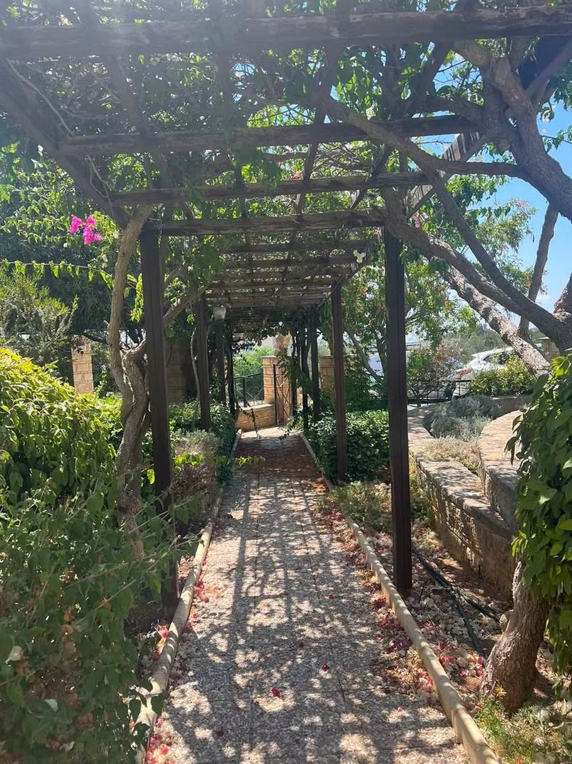 4 BR Villa in Tala, Paphos photo 3