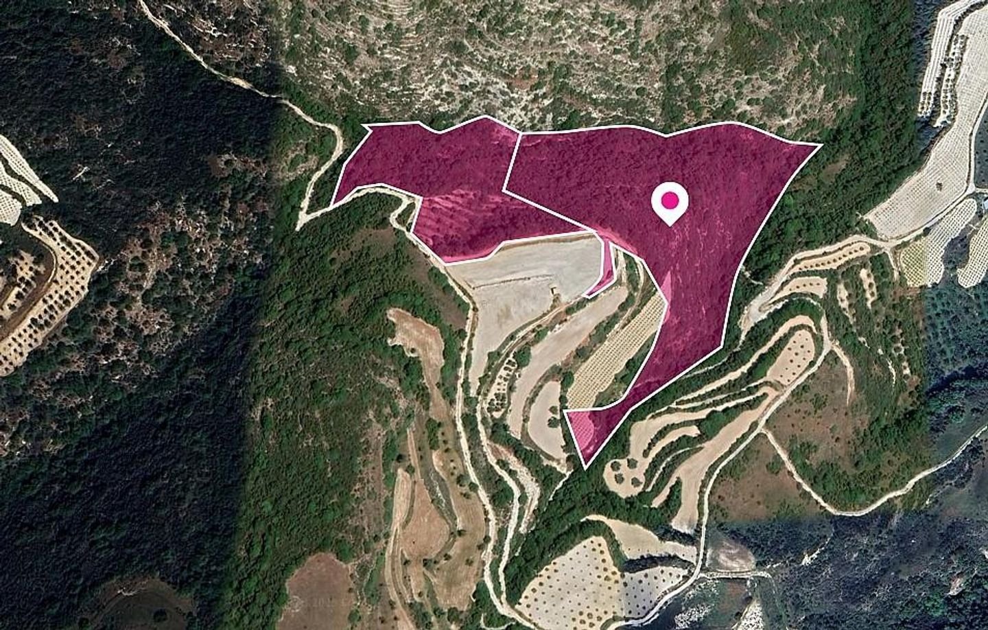 Two Agricultural and Special protection fields in Theletra, Paphos photo 2