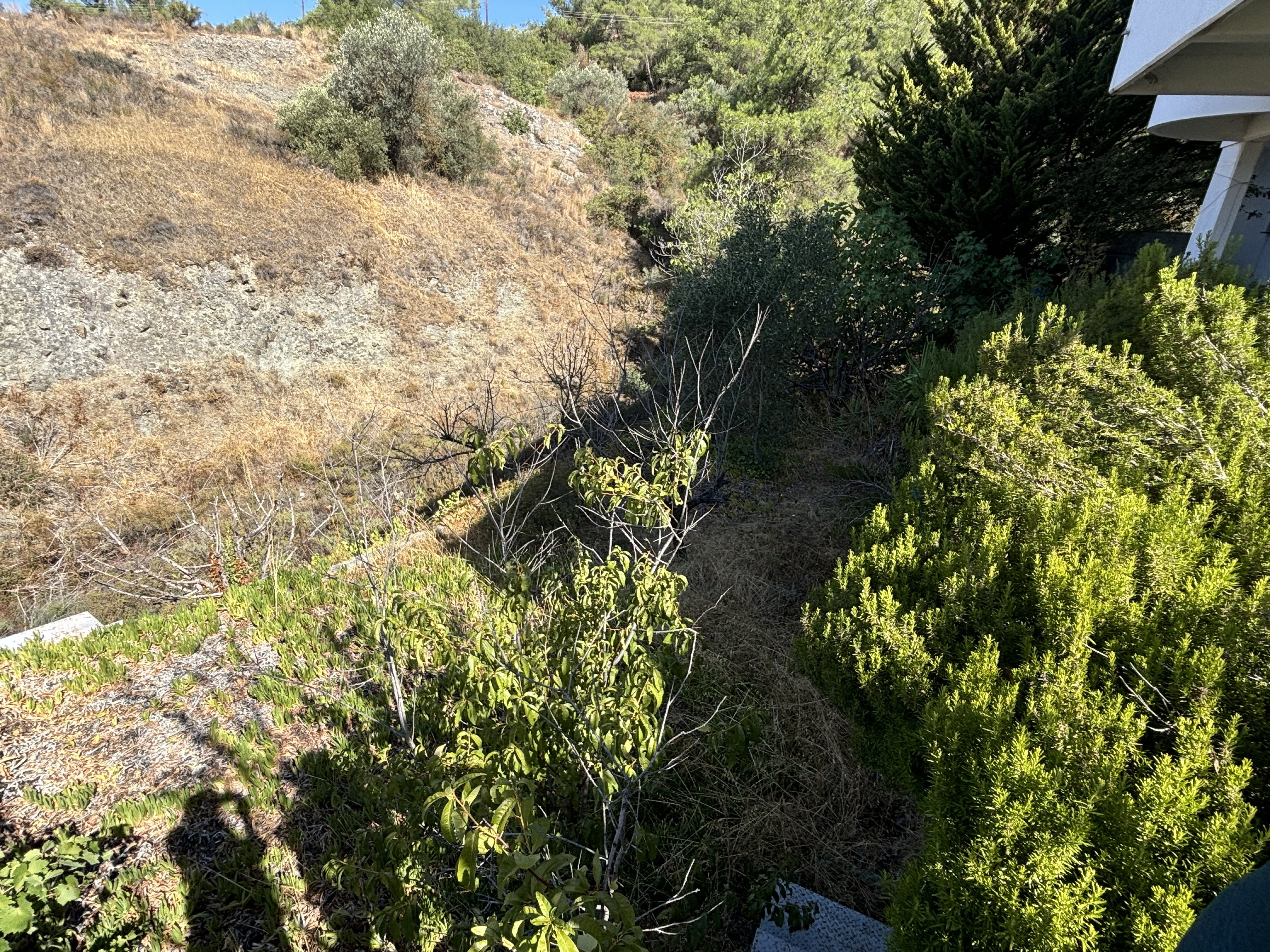 3 BR House in Pera Pedi, Limassol photo 33