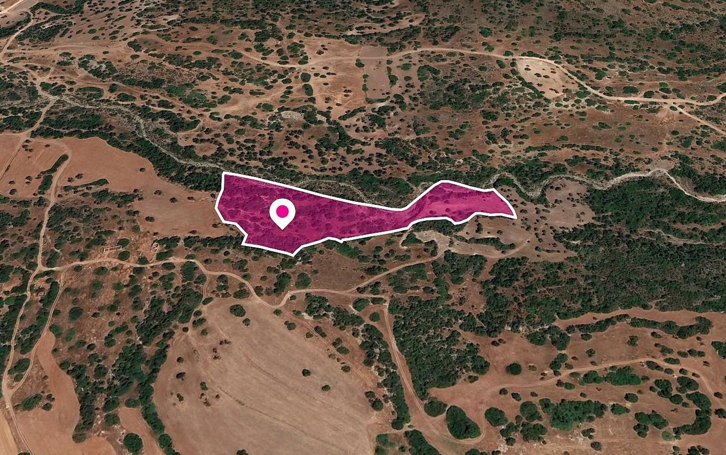 Shared Field, Kato Arodes, Paphos photo 1