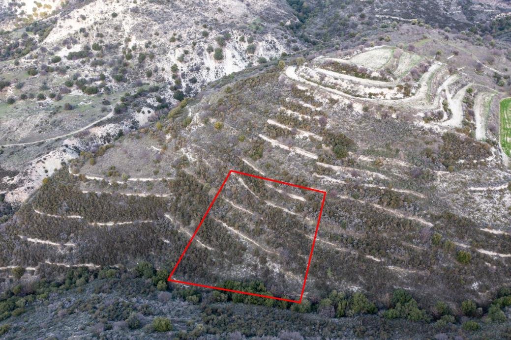 Field in Dora, Limassol photo 2