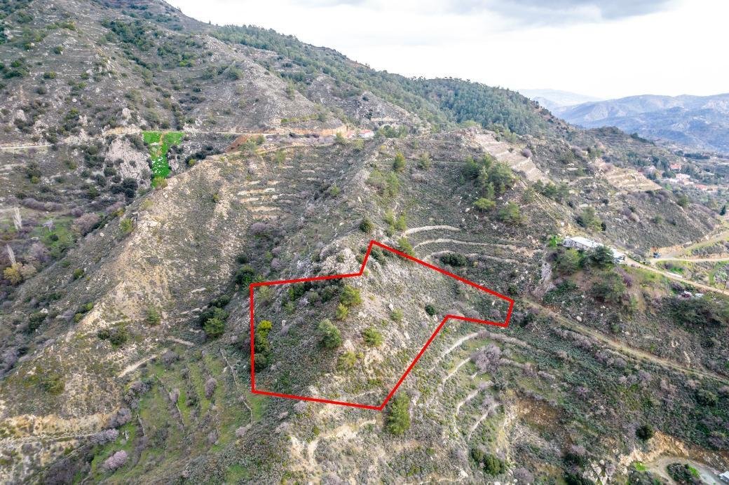 Shared agricultural field in Zoopigi, Limassol photo 1