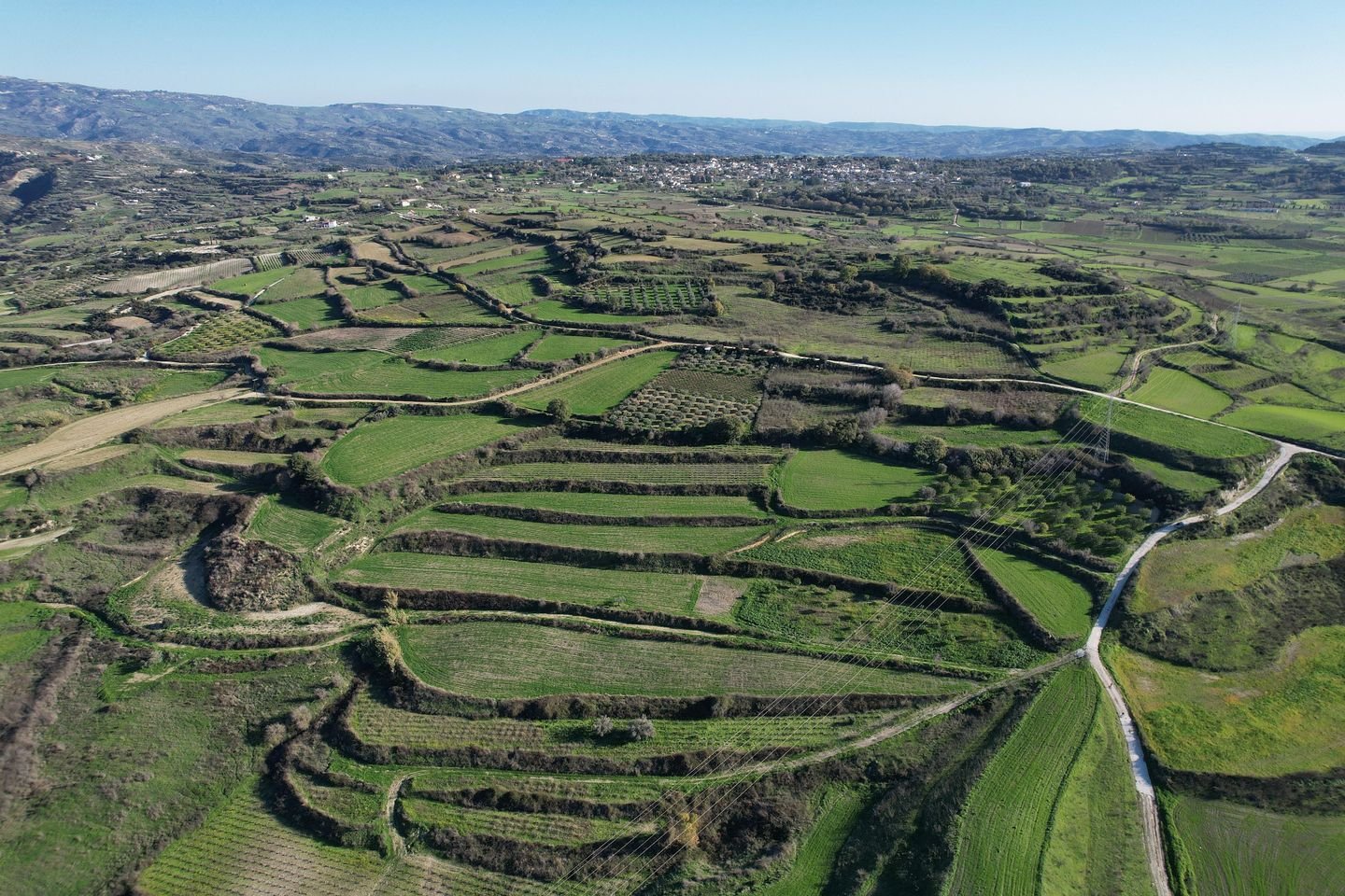 Agricultural Field, Stroumbi, Paphos photo 4