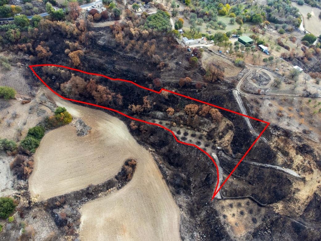 Agricultural Field in Drymou, Paphos photo 2