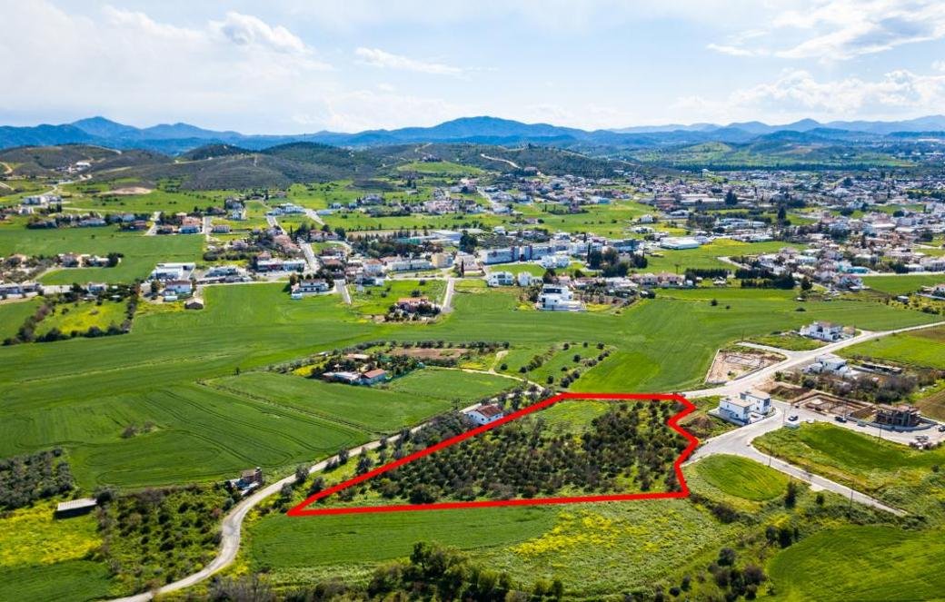 Shared residential field in Dali, Nicosia photo 3