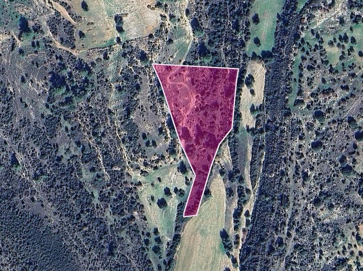 Field, Anogyra, Limassol photo 1