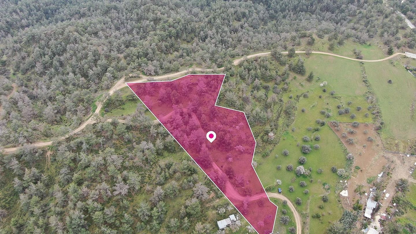 Residential field in Kapedes, Nicosia photo 3