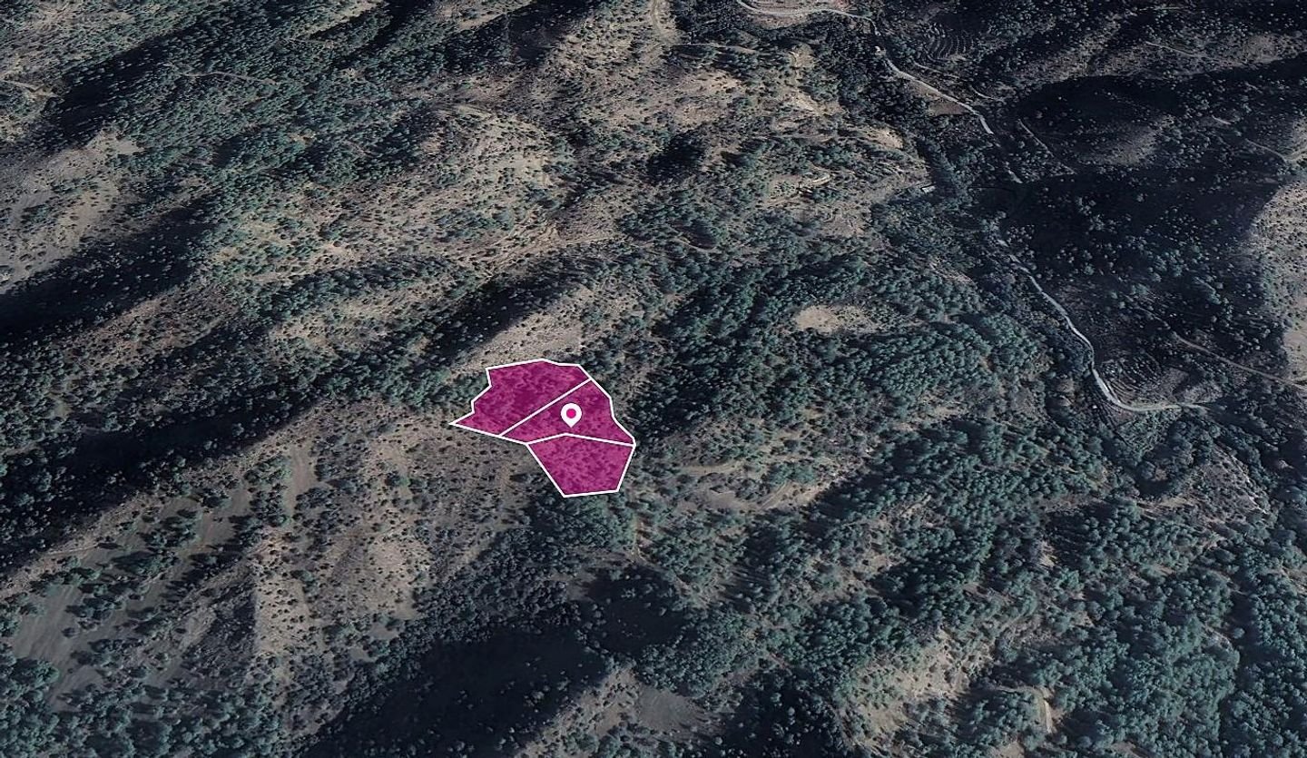 Shares Fields, Kaminaria, Limassol photo 2