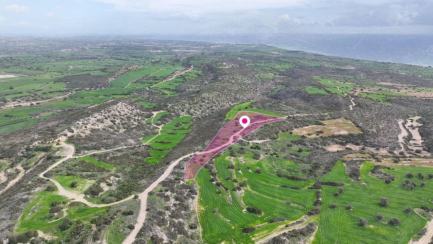 Agricultural field in Agios Theodoros, Larnaca photo 2