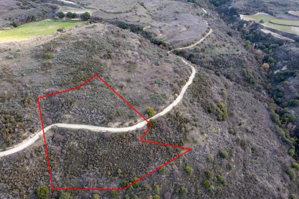 Field in Dora, Limassol photo 3