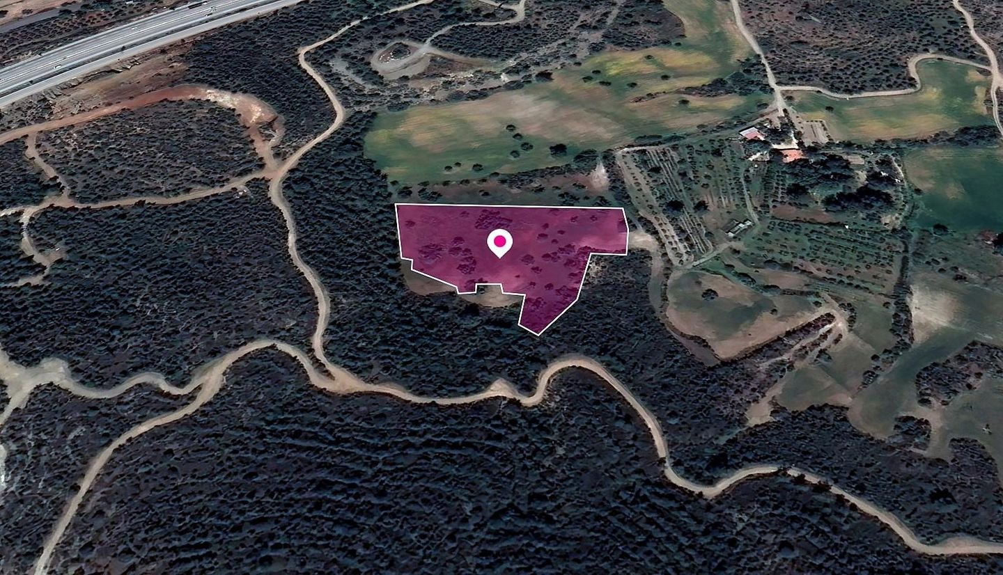 Special Protection Field, Kofinou photo 2