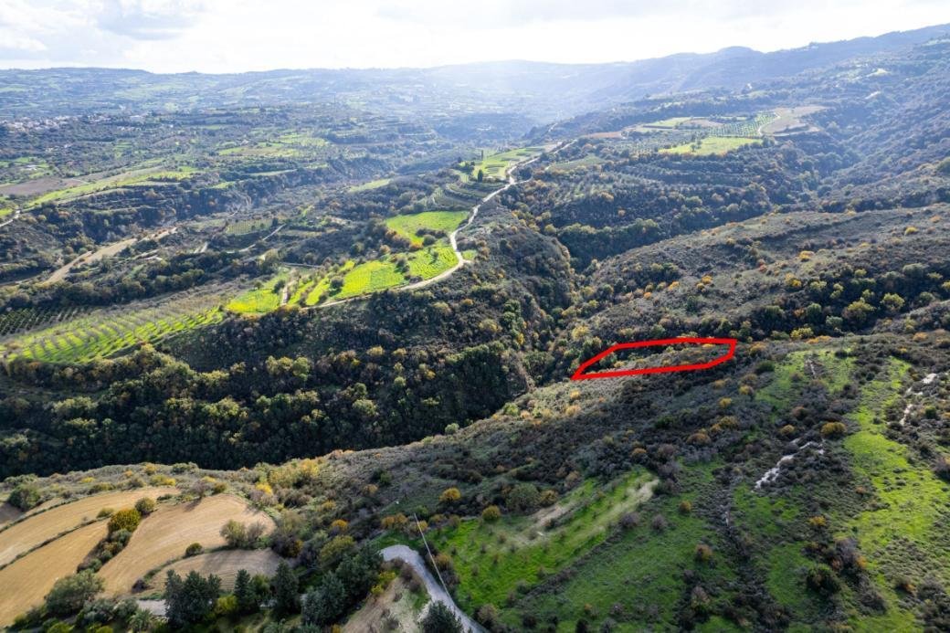 Agricultural field in Miliou, Paphos photo 3