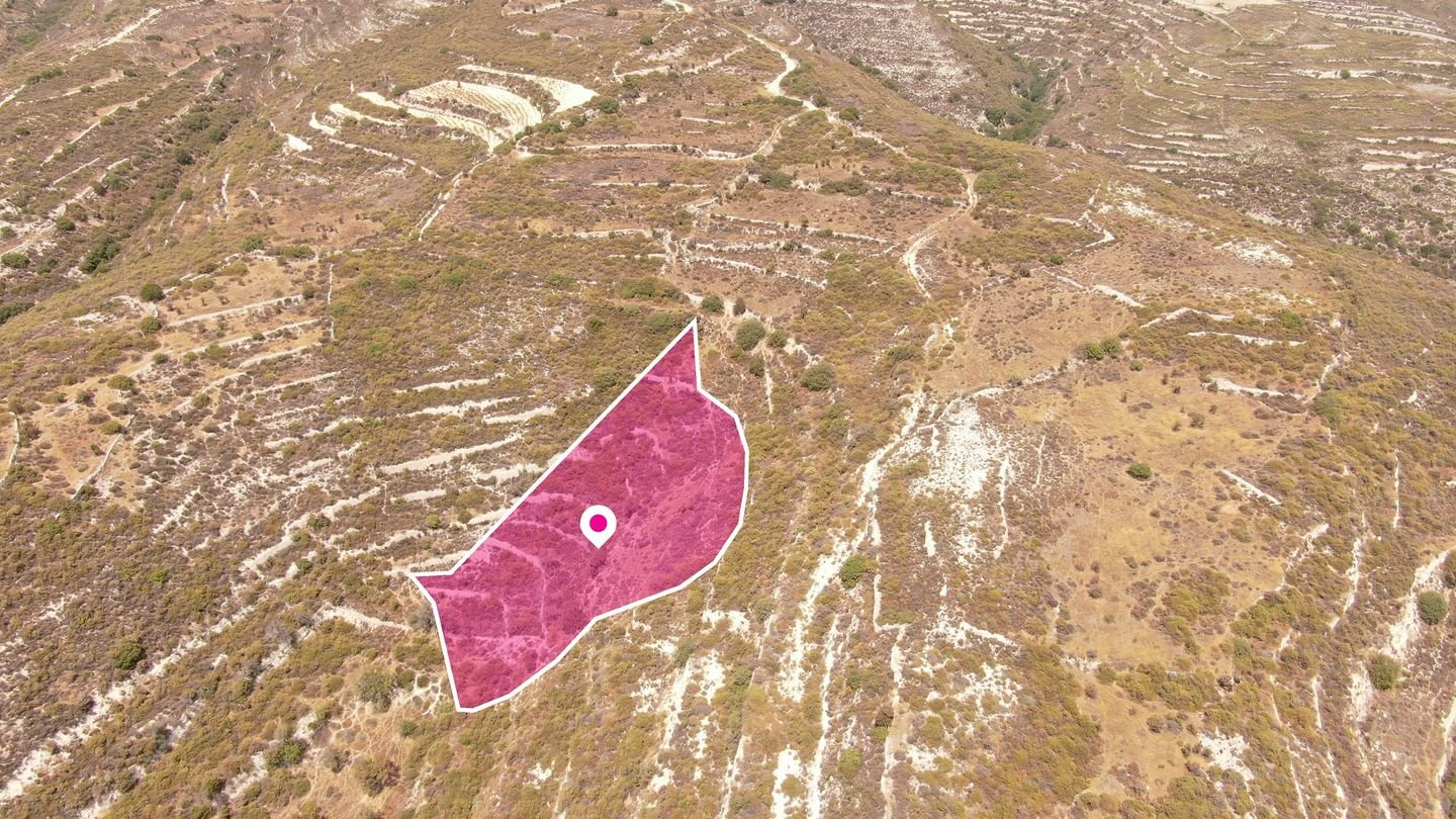 (Share) Agricultural field in Vouni, Limassol photo 3