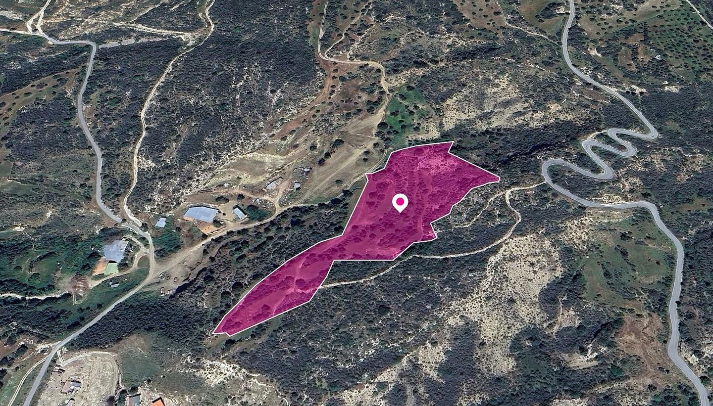 Field in Agios Isidoros, Paphos photo 3