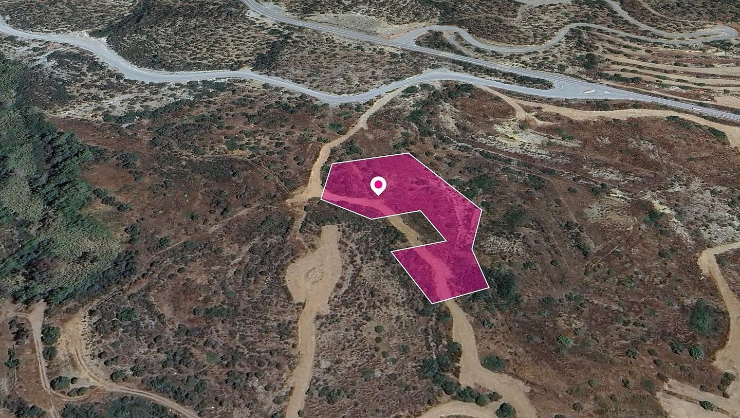 (Share) Field in Parekklisia Community, Limassol photo 2