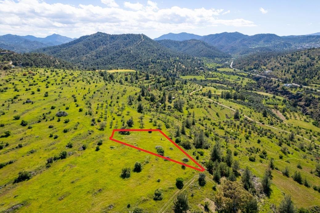 Agricultural field in Kalo Chorio Oreinis, Nicosia photo 2