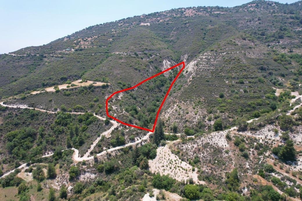 Agricultural field in Gerasa, Limassol photo 2