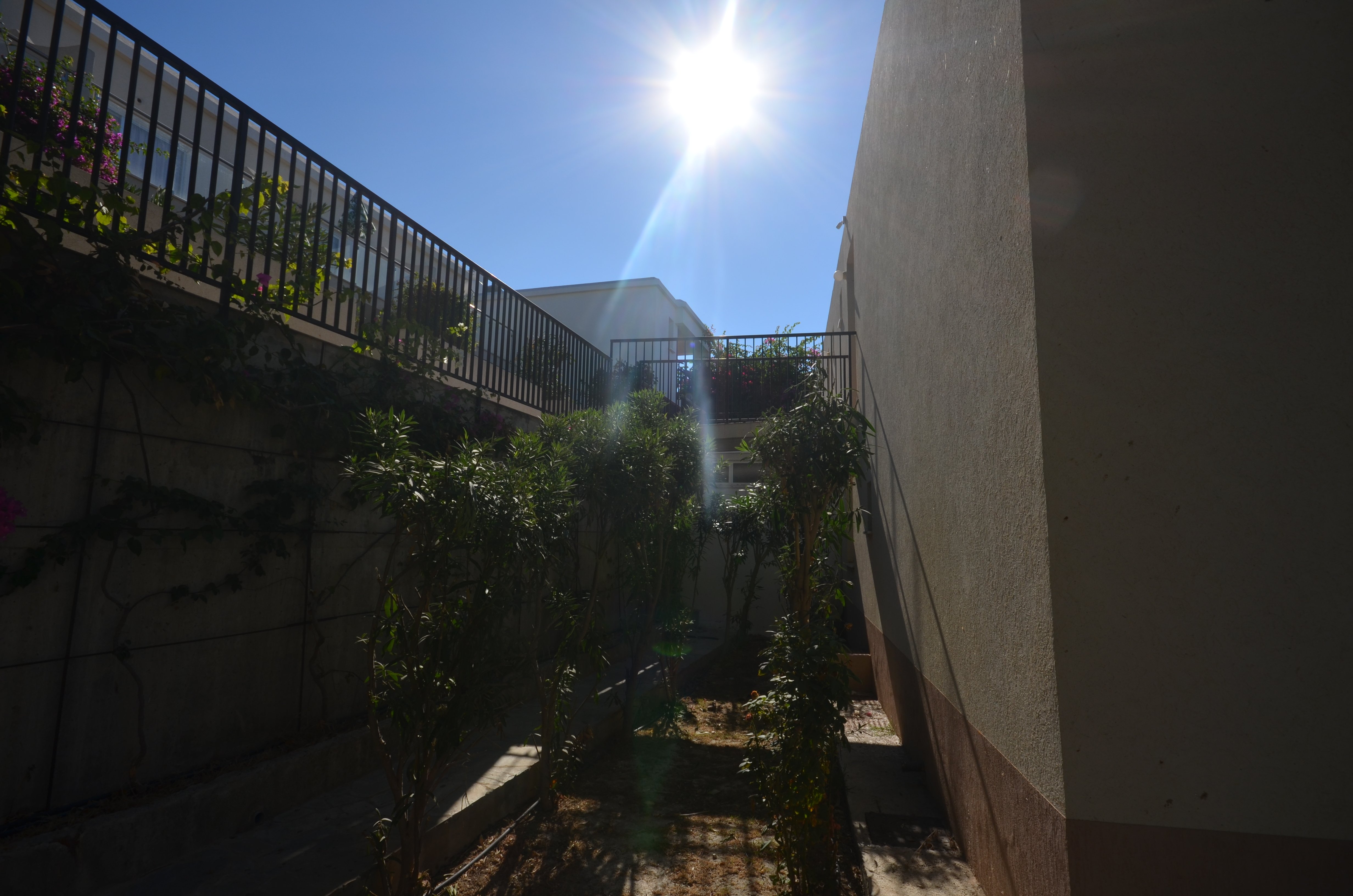 3 BR Villa in Tombs Of the Kings, Paphos photo 9