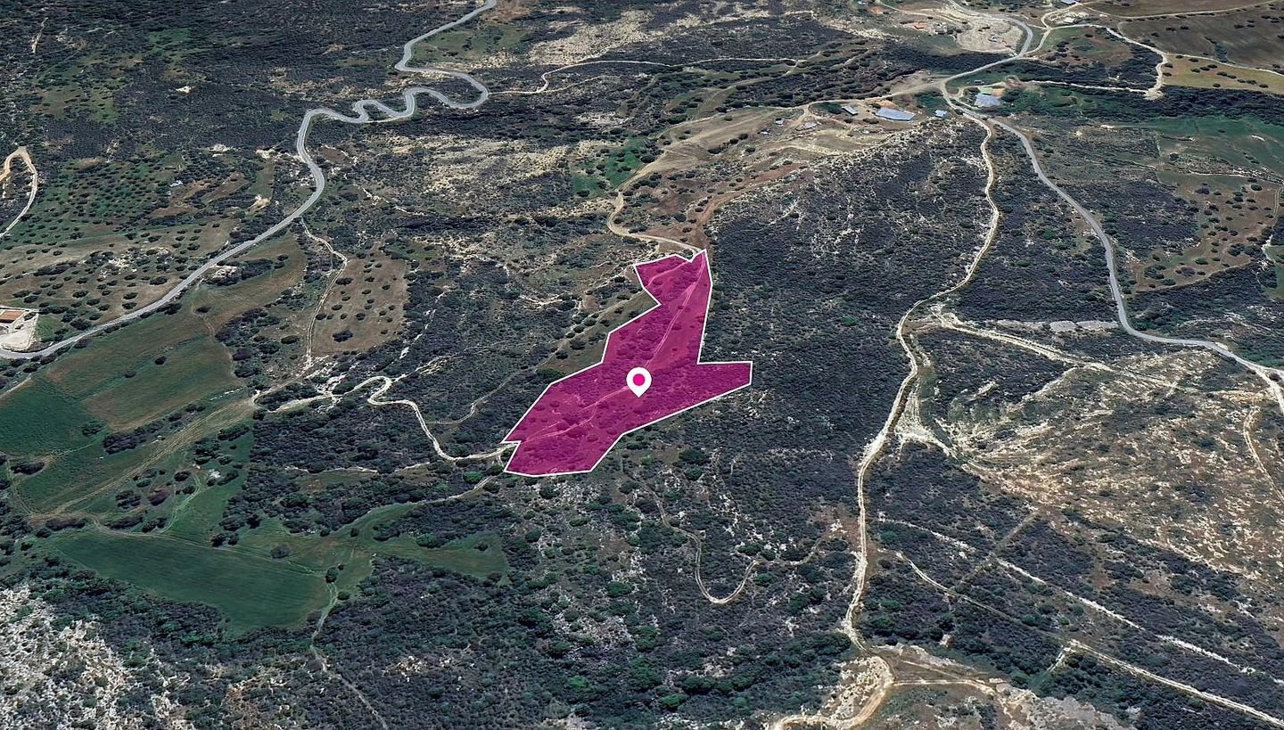 (Share) Field, Agios Isidoros, Paphos photo 3