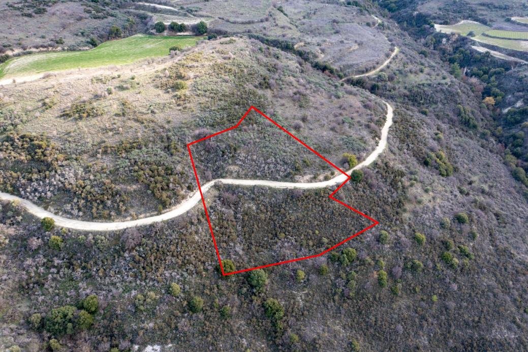 Field in Dora, Limassol photo 2