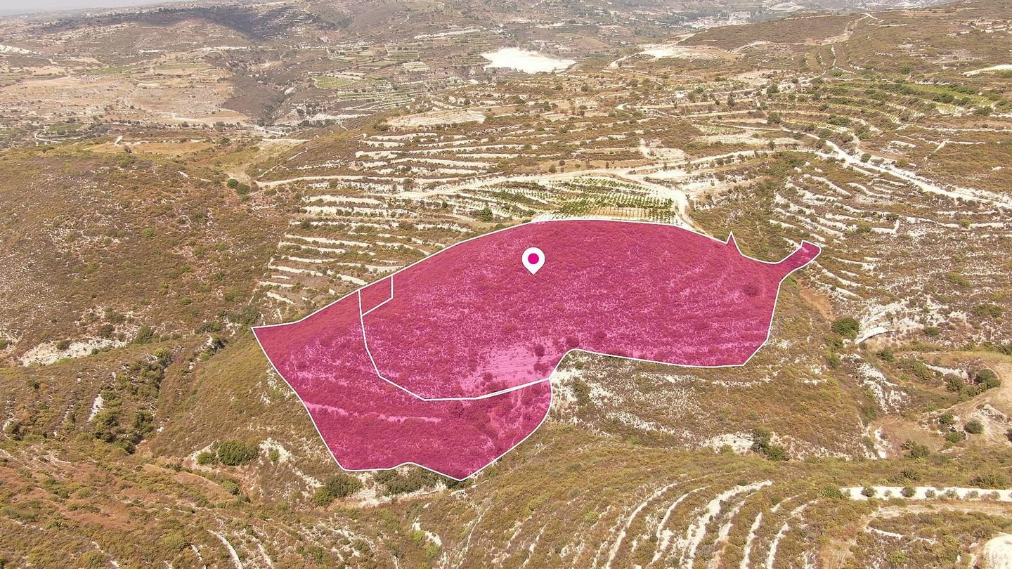 Three agricultural fields located in Vouni, Limassol photo 1