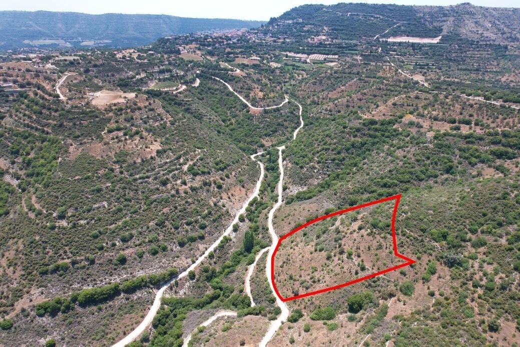 Field in Dora, Limassol photo 2