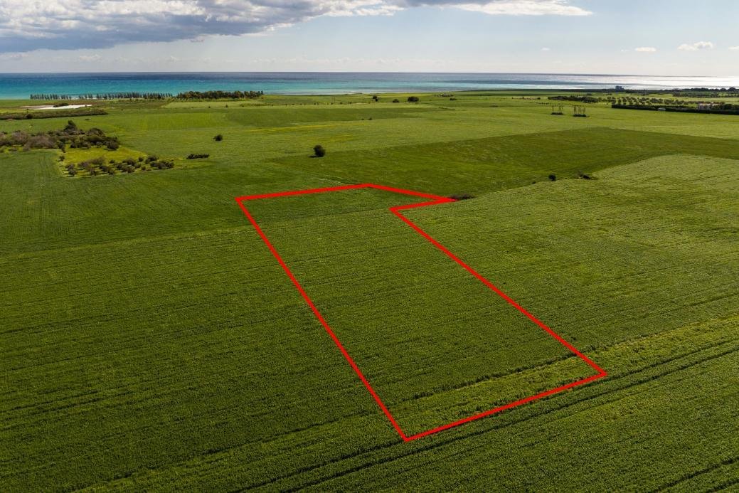 Agricultural field in Softades, Larnaca photo 2