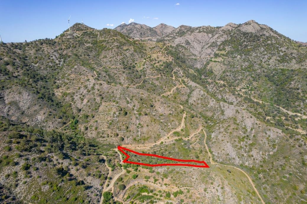 Five fields in Sykopetra, Limassol photo 7