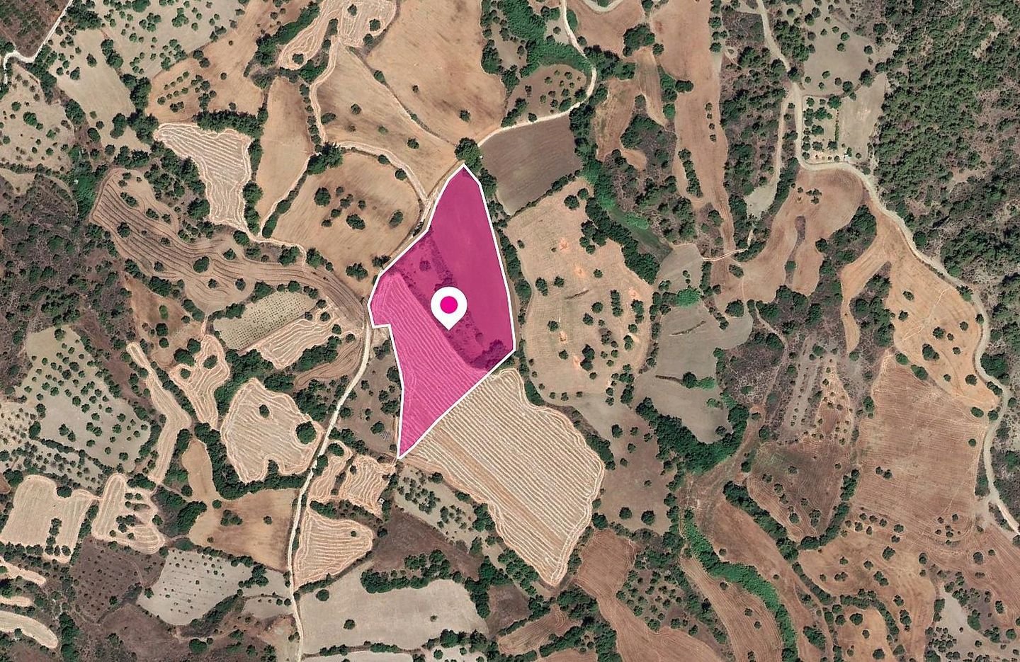 (Share) Agricultural Field, Lysos, Paphos photo 3