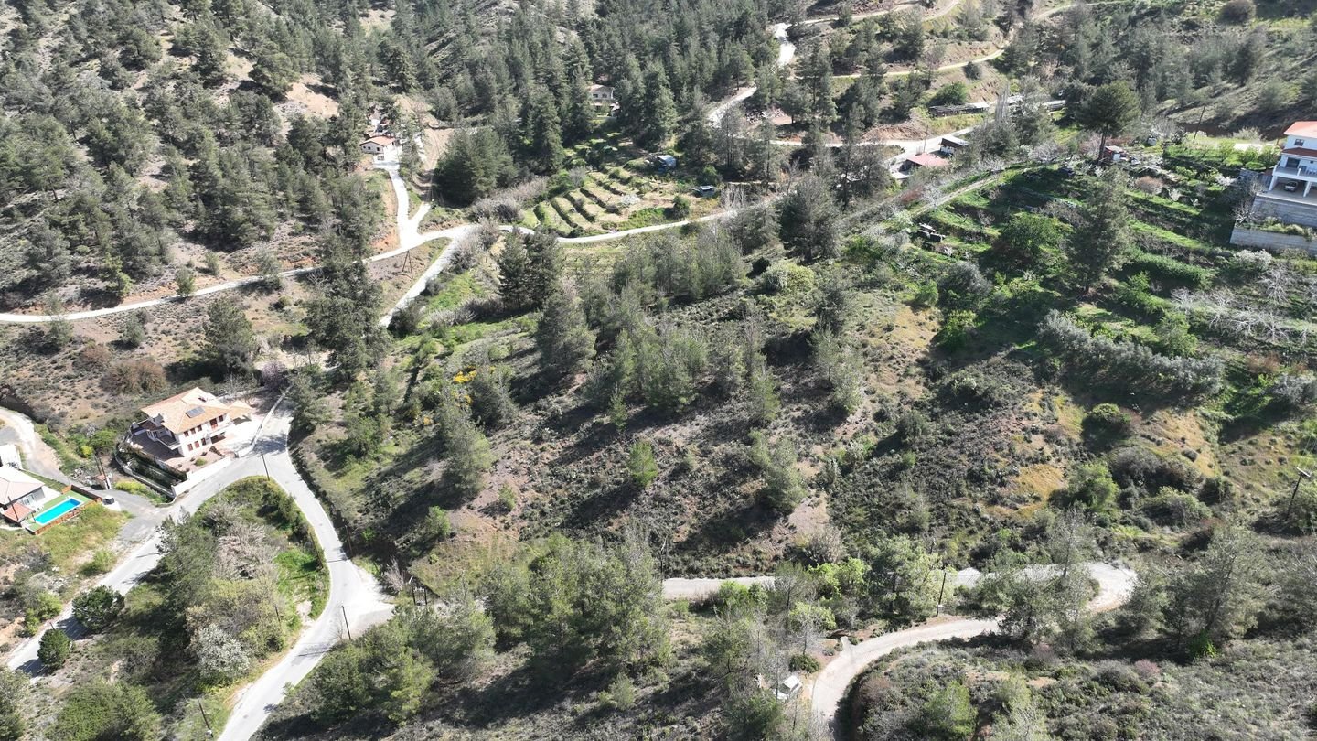 17% Distributed Share of a residential field,in Kakopetria, Nicosia photo 8