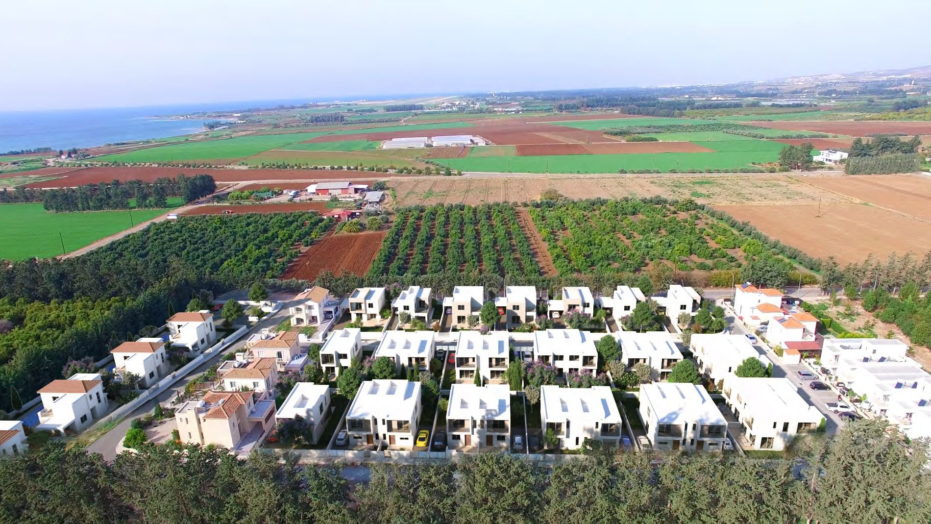 3 BR Villa in Mandria, Paphos photo 5