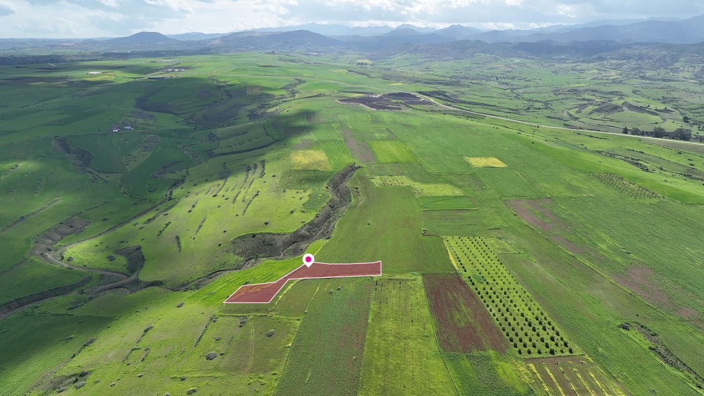 Livestock field in Peristerona, Nicosia photo 2