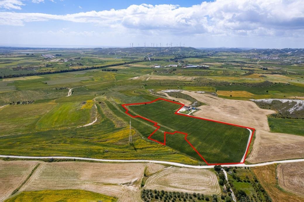 Agricultural field in Kalo Chorio, Larnaca photo 2