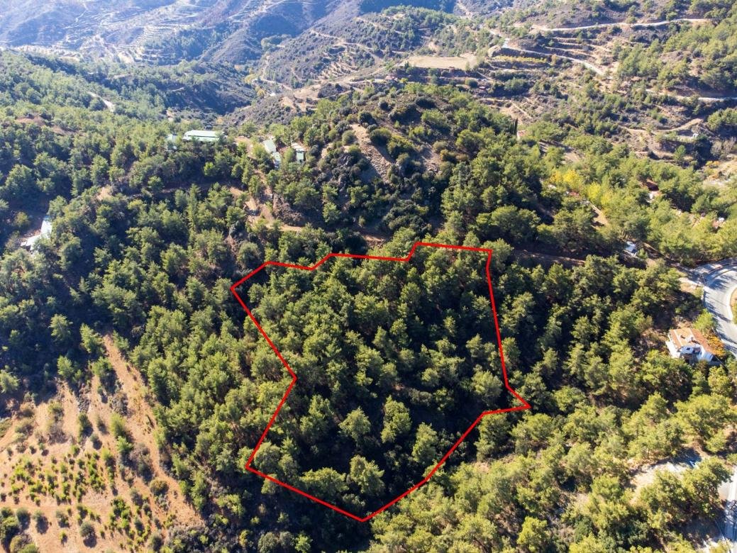 Shared residential fields in Vavatsinia, Larnaca photo 3