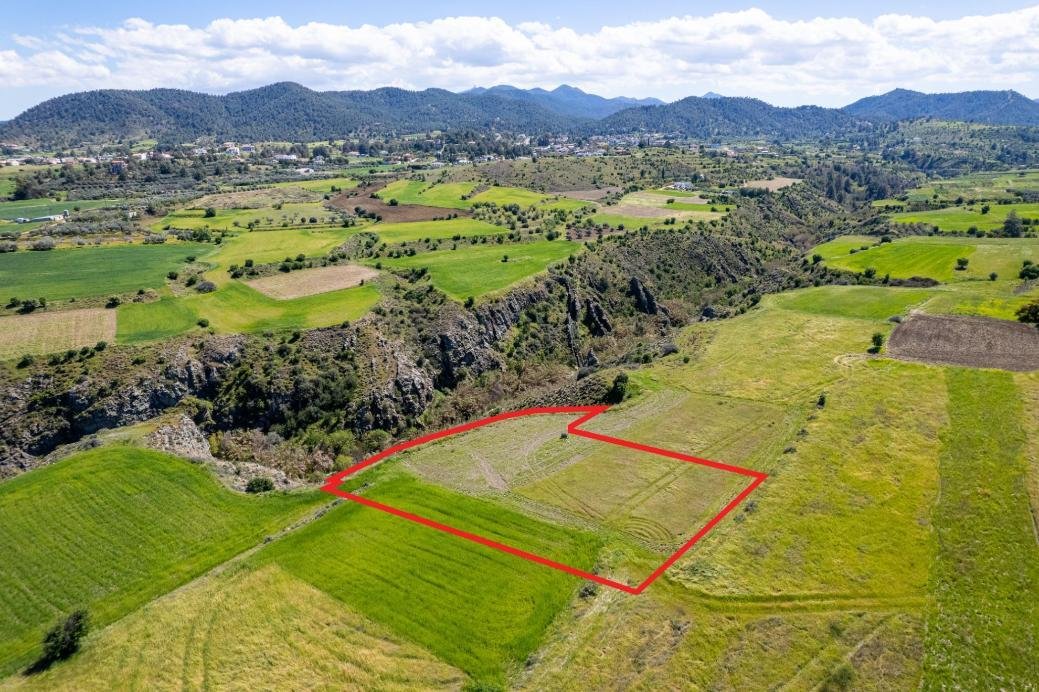 Field in Kalo Chorio Oreinis, Nicosia photo 3