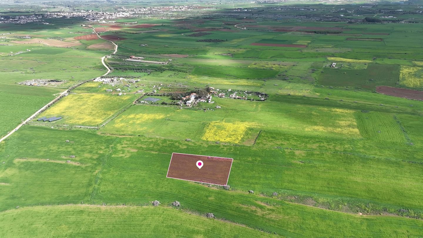 Livestock field in Peristerona, Nicosia photo 1