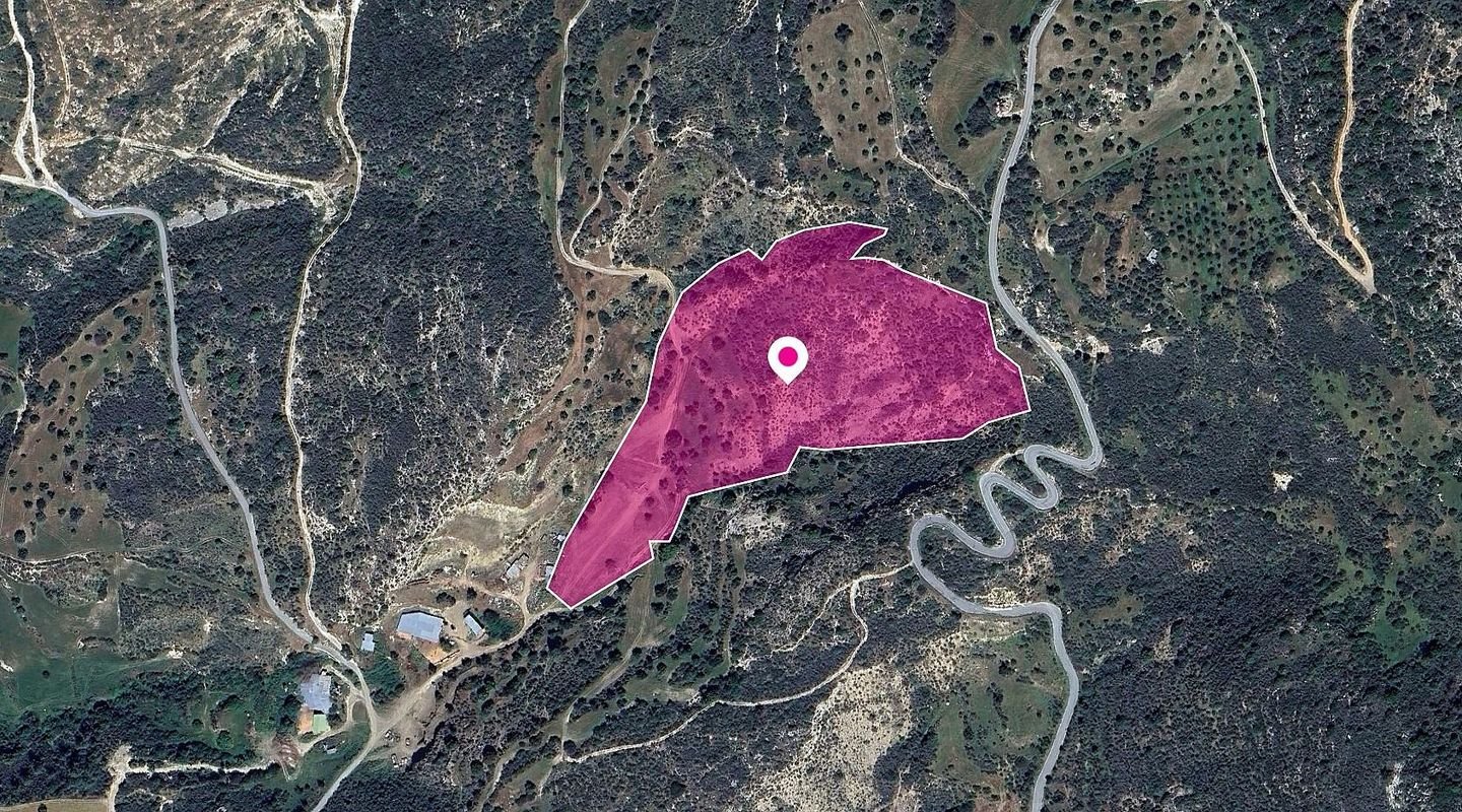 Field in Agios Isidoros, Paphos photo 2