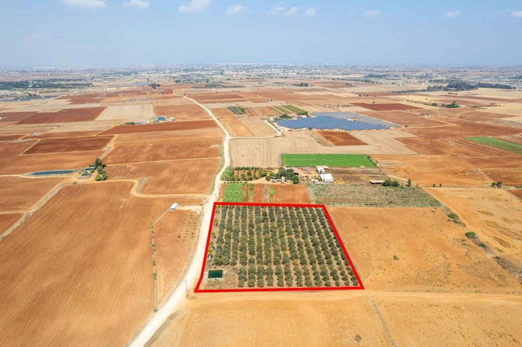 Agricultural field in Avgorou, Famagusta photo 2