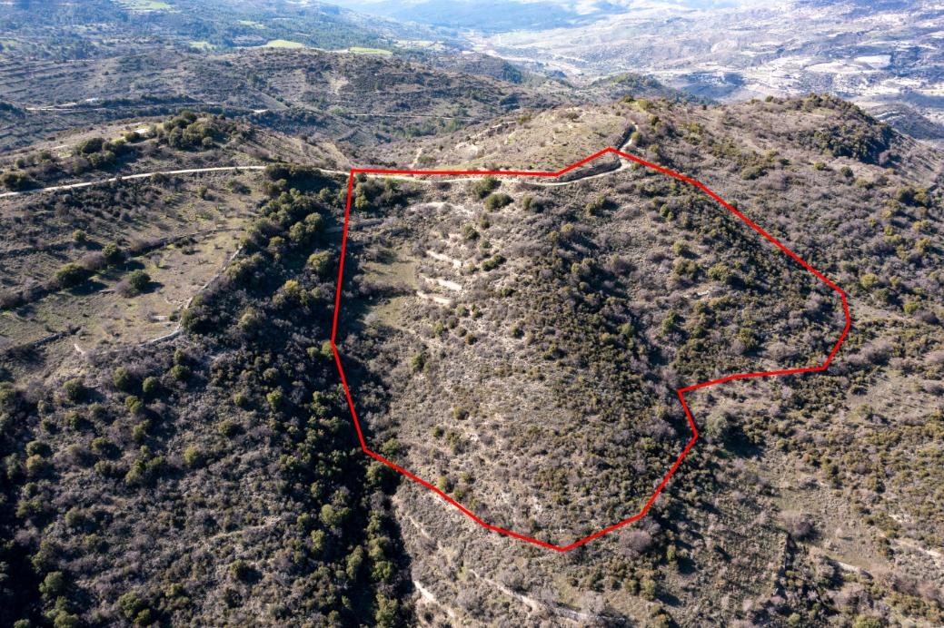 Field in Dora, Limassol photo 1