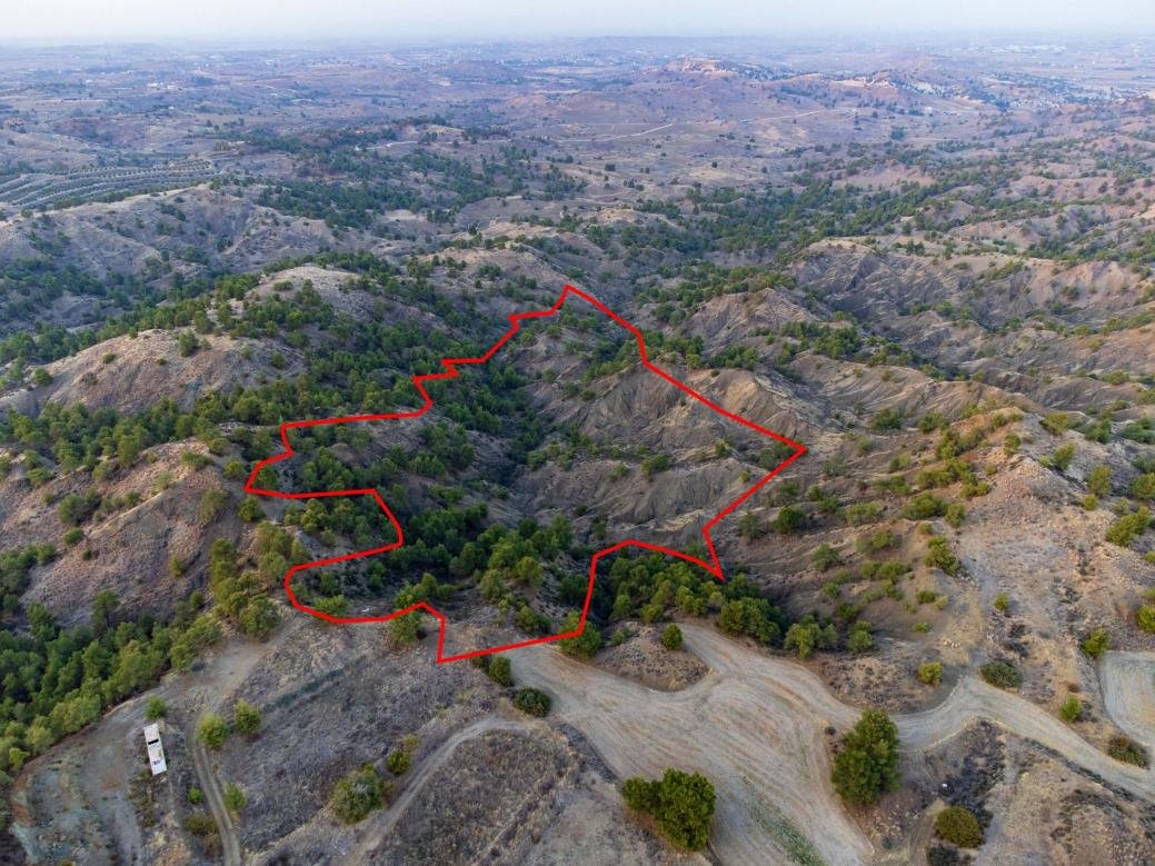 Shared field in Politiko, Nicosia photo 2