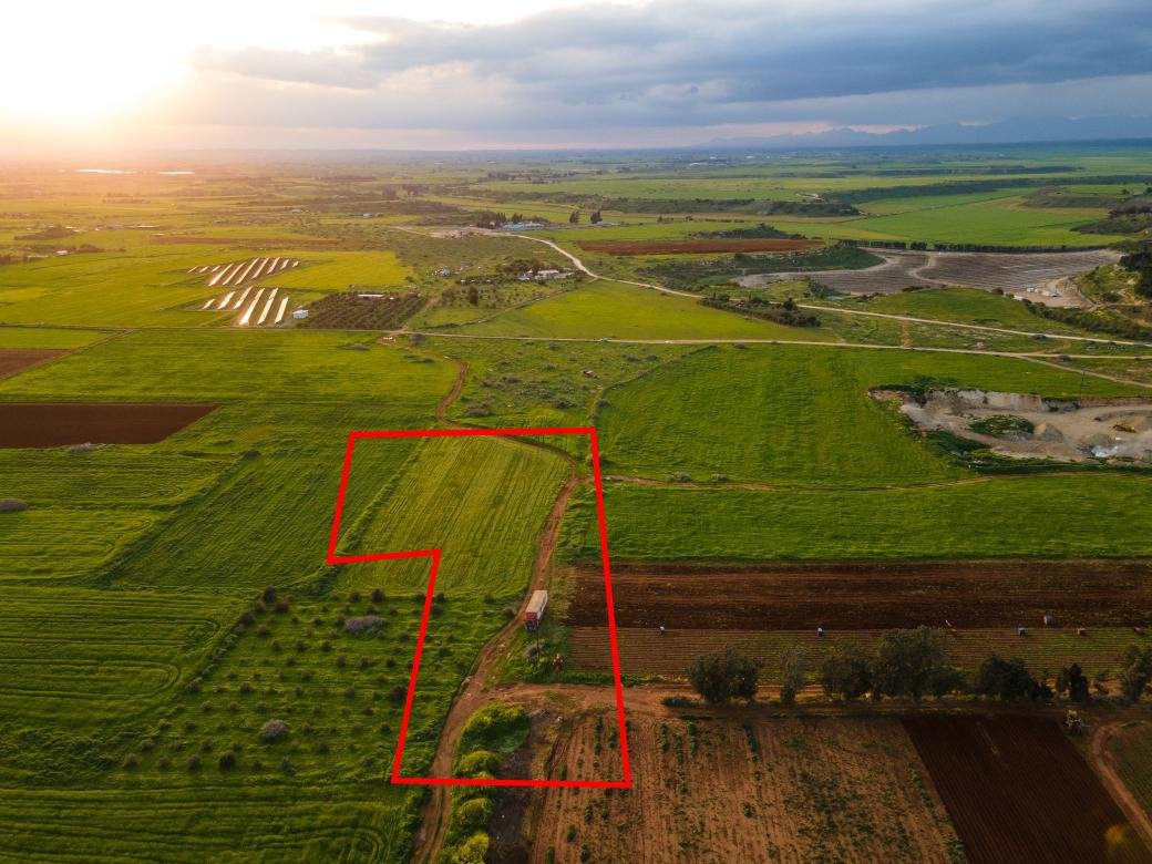 Agricultural field in Avgorou, Famagusta photo 3